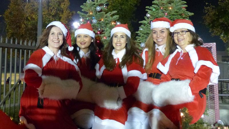 Holiday Snow Village 2015 54